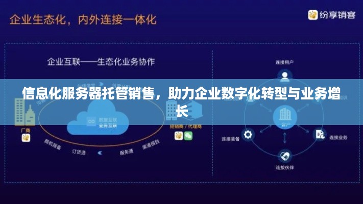 信息化服务器托管销售，助力企业数字化转型与业务增长