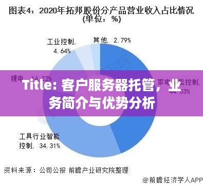 Title: 客户服务器托管，业务简介与优势分析