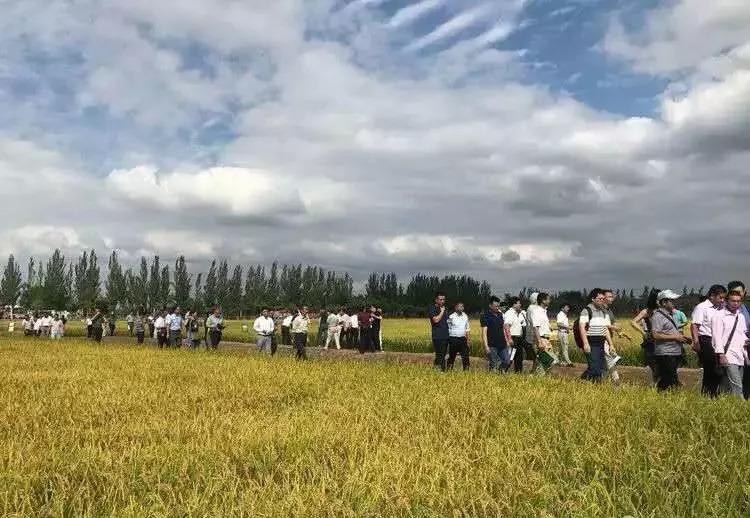 重庆托管服务器虚拟主机，选择最佳解决方案助力企业数字化转型