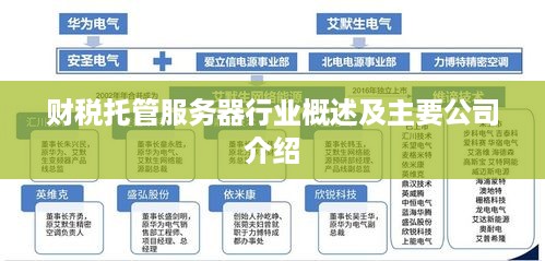 财税托管服务器行业概述及主要公司介绍