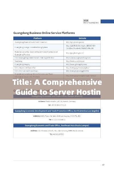 Title: A Comprehensive Guide to Server Hosting Recommendations for Business Success