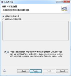 掌握SVN服务器托管代码的完整指南