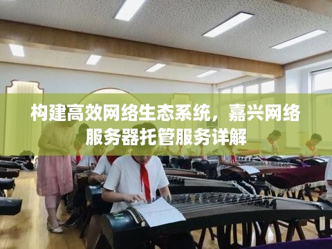 构建高效网络生态系统，嘉兴网络服务器托管服务详解