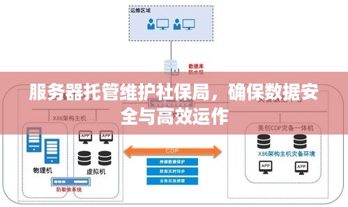 服务器托管维护社保局，确保数据安全与高效运作