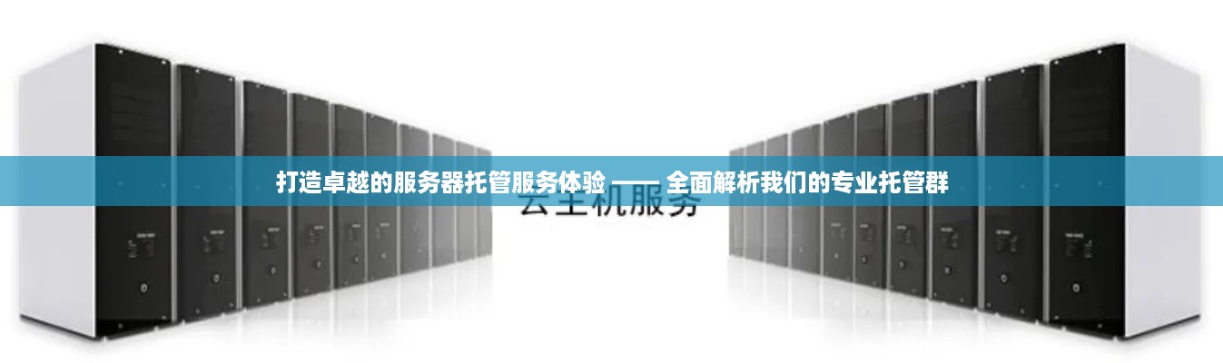 打造卓越的服务器托管服务体验 —— 全面解析我们的专业托管群