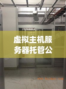 虚拟主机服务器托管公司，构建高效网络环境的关键支柱