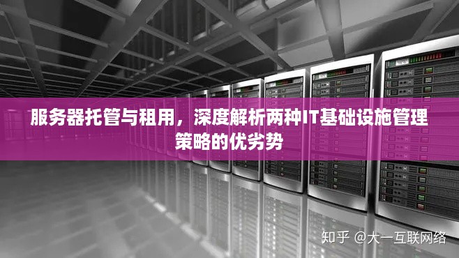 服务器托管与租用，深度解析两种IT基础设施管理策略的优劣势