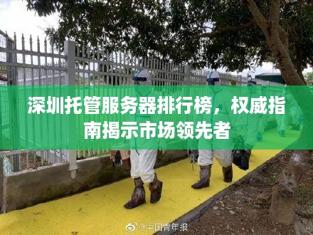 深圳托管服务器排行榜，权威指南揭示市场领先者