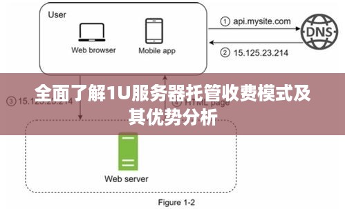 全面了解1U服务器托管收费模式及其优势分析