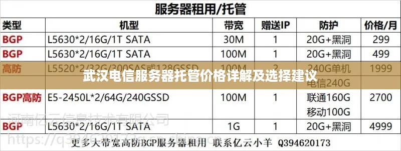 武汉电信服务器托管价格详解及选择建议