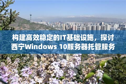 构建高效稳定的IT基础设施，探讨西宁Windows 10服务器托管服务的优势