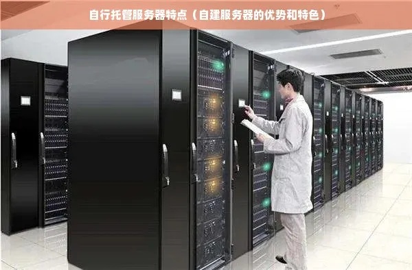 电信托管服务器，选择与优势分析