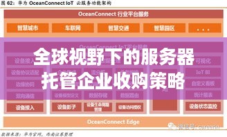 全球视野下的服务器托管企业收购策略