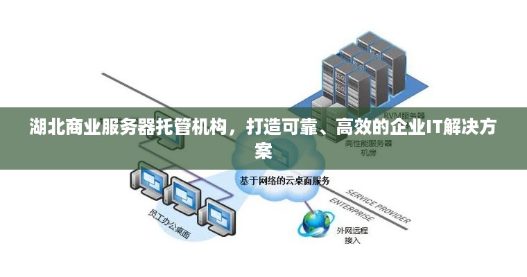 湖北商业服务器托管机构，打造可靠、高效的企业IT解决方案