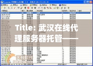 Title: 武汉在线代理服务器托管——让你的网络更加畅通无阻