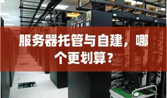 服务器托管与自建，哪个更划算？