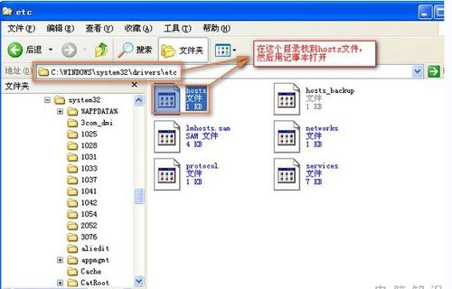 Title: 服务器托管，构建高效、安全的网站基础设施