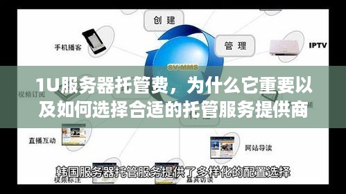 1U服务器托管费，为什么它重要以及如何选择合适的托管服务提供商