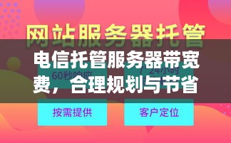 电信托管服务器带宽费，合理规划与节省成本之道