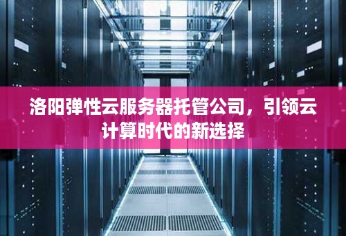 洛阳弹性云服务器托管公司，引领云计算时代的新选择