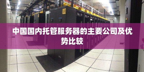 中国国内托管服务器的主要公司及优势比较