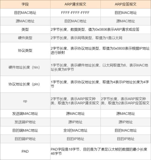 全面解析，2023年全球包电服务器托管公司排名