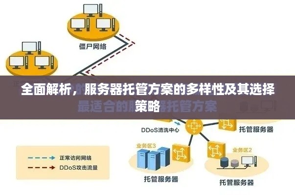 全面解析，服务器托管方案的多样性及其选择策略