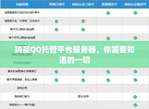 购买QQ托管平台服务器，你需要知道的一切