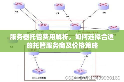 服务器托管费用解析，如何选择合适的托管服务商及价格策略