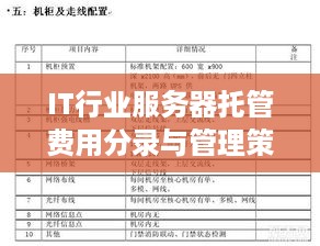 IT行业服务器托管费用分录与管理策略探讨