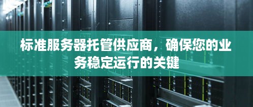 标准服务器托管供应商，确保您的业务稳定运行的关键