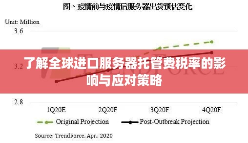 了解全球进口服务器托管费税率的影响与应对策略