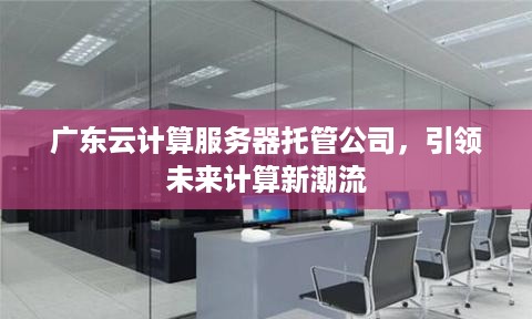 广东云计算服务器托管公司，引领未来计算新潮流