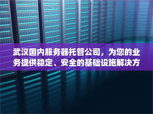 武汉国内服务器托管公司，为您的业务提供稳定、安全的基础设施解决方案