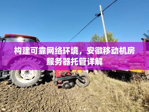 构建可靠网络环境，安徽移动机房服务器托管详解