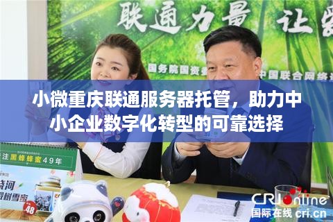 小微重庆联通服务器托管，助力中小企业数字化转型的可靠选择