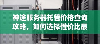 神途服务器托管价格查询攻略，如何选择性价比最高的服务器托管服务