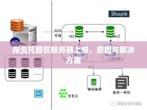 爬虫托管在服务器上慢，原因与解决方案