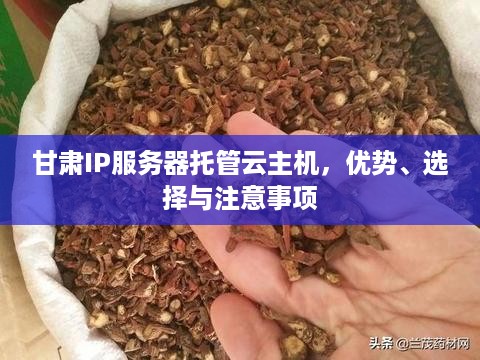 甘肃IP服务器托管云主机，优势、选择与注意事项