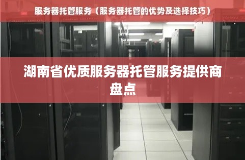 湖南省优质服务器托管服务提供商盘点