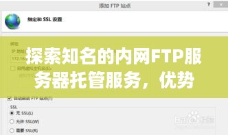 探索知名的内网FTP服务器托管服务，优势、使用与安全性分析