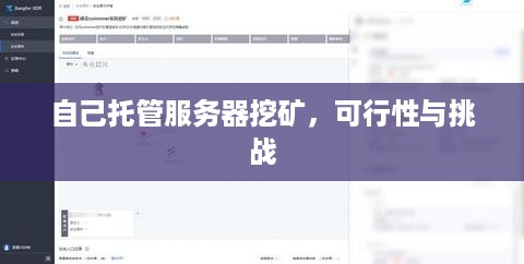 自己托管服务器挖矿，可行性与挑战