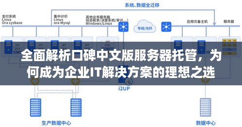 全面解析口碑中文版服务器托管，为何成为企业IT解决方案的理想之选