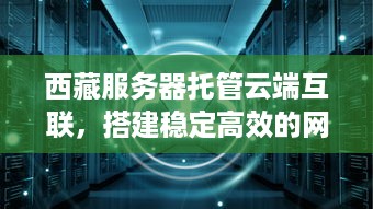 西藏服务器托管云端互联，搭建稳定高效的网络基础设施