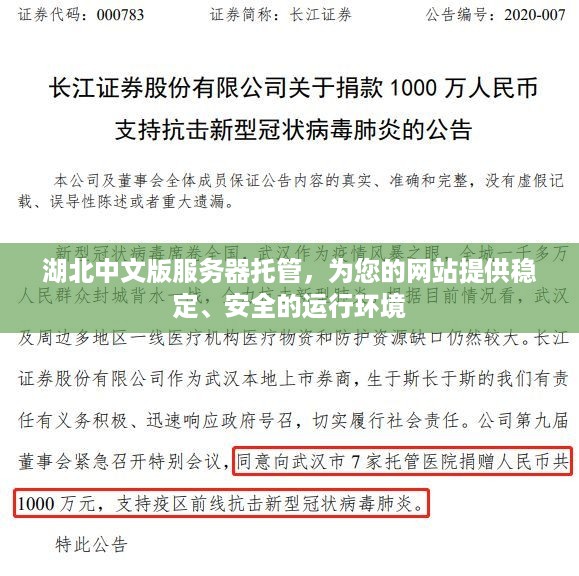 湖北中文版服务器托管，为您的网站提供稳定、安全的运行环境