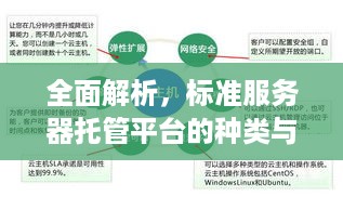 全面解析，标准服务器托管平台的种类与优势