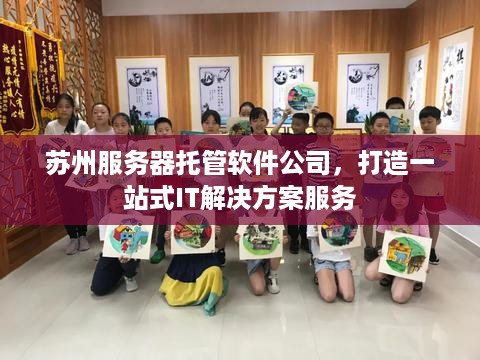 苏州服务器托管软件公司，打造一站式IT解决方案服务