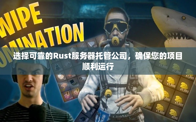 选择可靠的Rust服务器托管公司，确保您的项目顺利运行