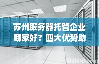 苏州服务器托管企业哪家好？四大优势助您轻松选择