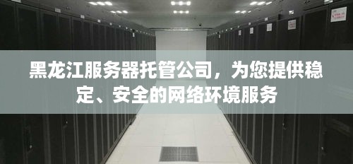 黑龙江服务器托管公司，为您提供稳定、安全的网络环境服务